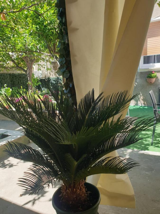 Casa Vacanze Con Giardino E Area Barbecue Martis Zewnętrze zdjęcie